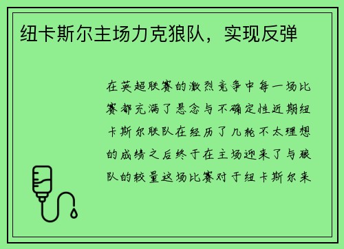 纽卡斯尔主场力克狼队，实现反弹