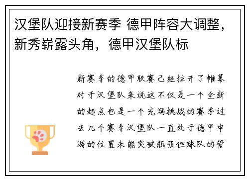 汉堡队迎接新赛季 德甲阵容大调整，新秀崭露头角，德甲汉堡队标
