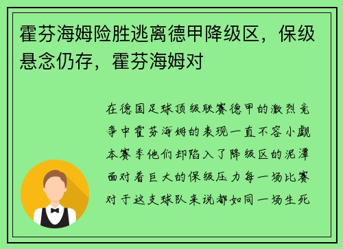 霍芬海姆险胜逃离德甲降级区，保级悬念仍存，霍芬海姆对