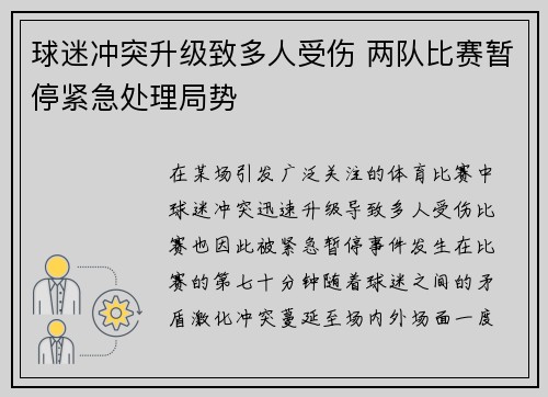 球迷冲突升级致多人受伤 两队比赛暂停紧急处理局势